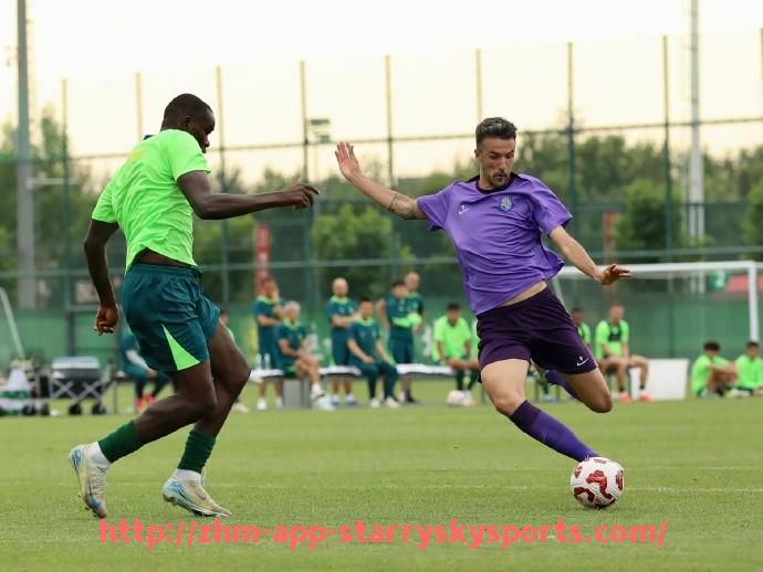 星空体育app-谁是意甲最美球队？2024年球迷评选结果揭秘